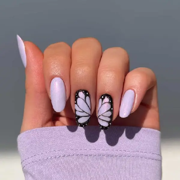 Butterfly Nail Art Nail Extension Designs

