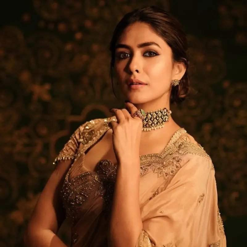 Mrunal Thakur biography